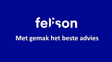 Felison logo